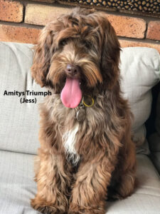 Amitys Triumph (Jess) The Mum
